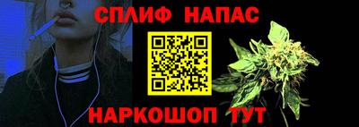 СК Сланцы