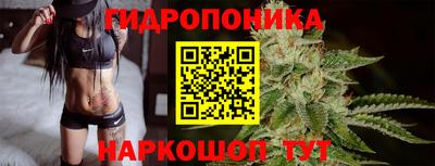 СК Сланцы