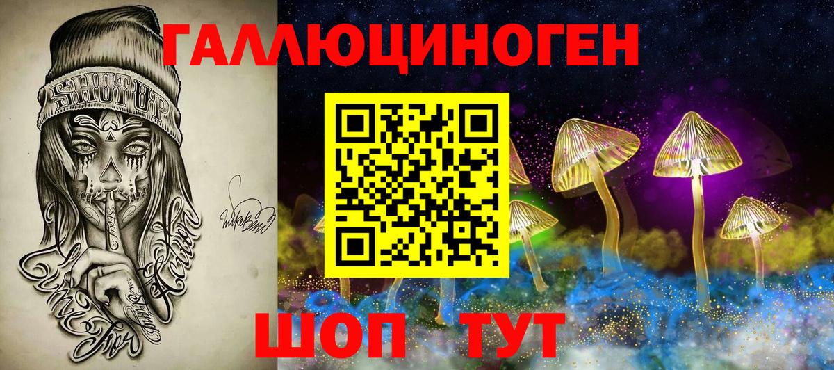 Норильск  Псилоцибиновые грибы прущие грибы  Вход с VPN  Галлюциногенные грибы GOLDEN TEACHER 